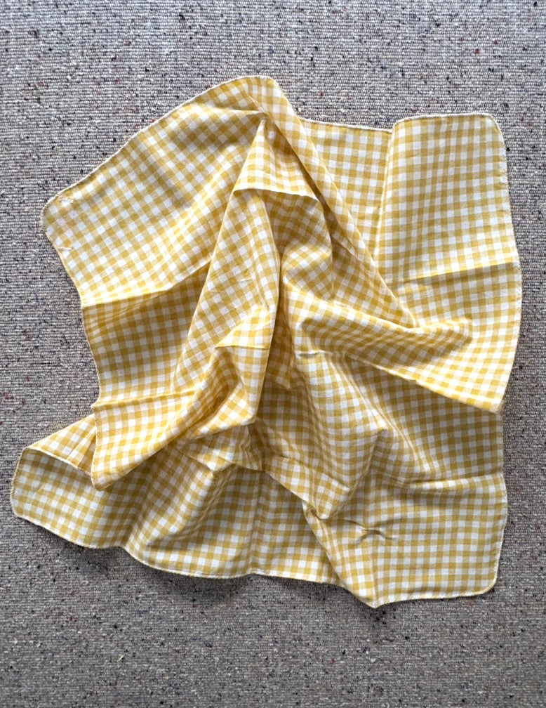 Cotton Napkins Set/4: Sunny Gingham