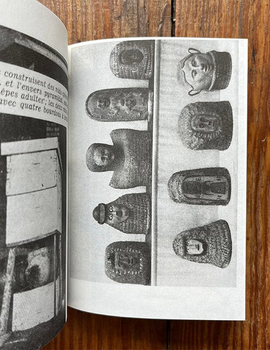 Hives: A Visual History of the Beehive