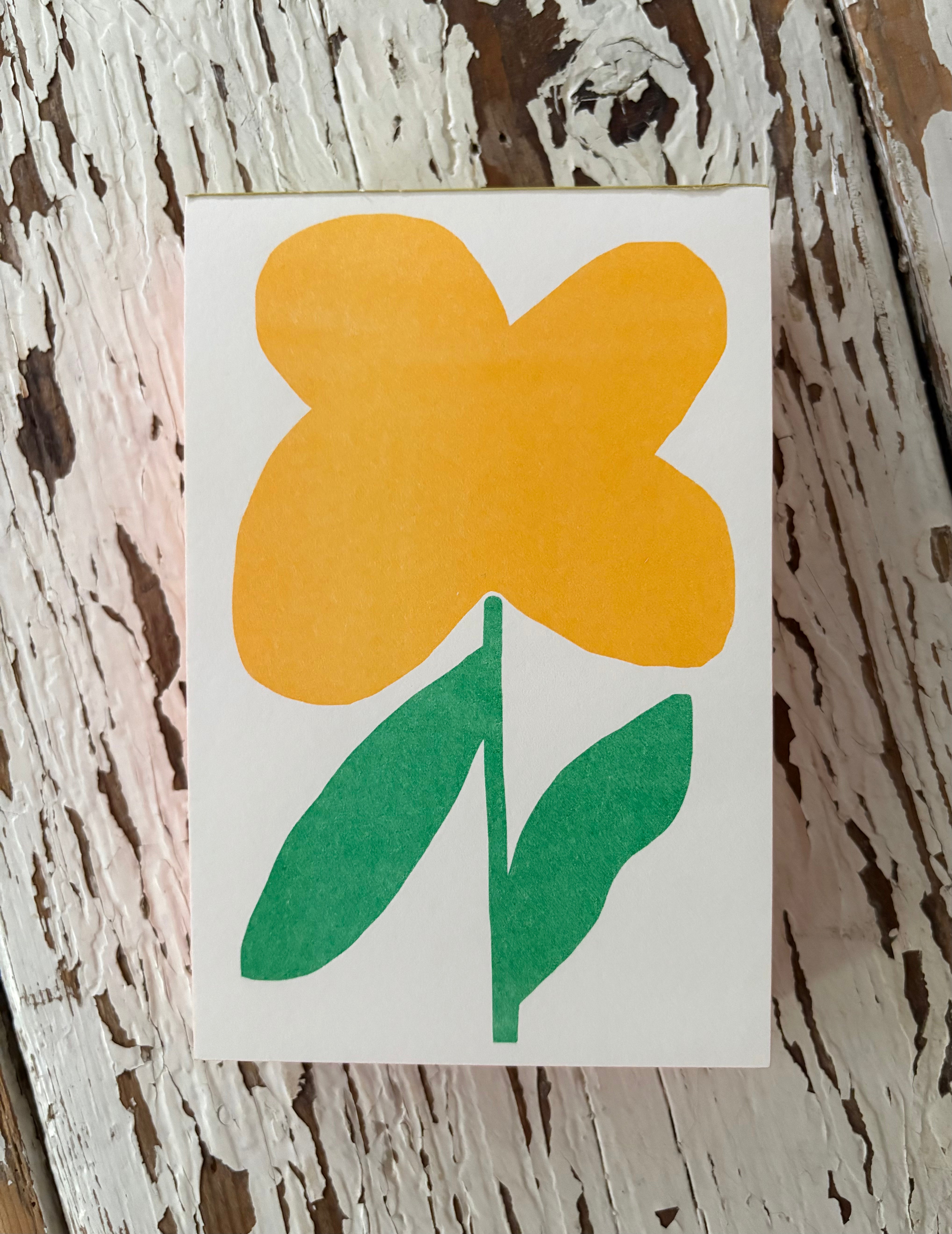 Oxalis Pad