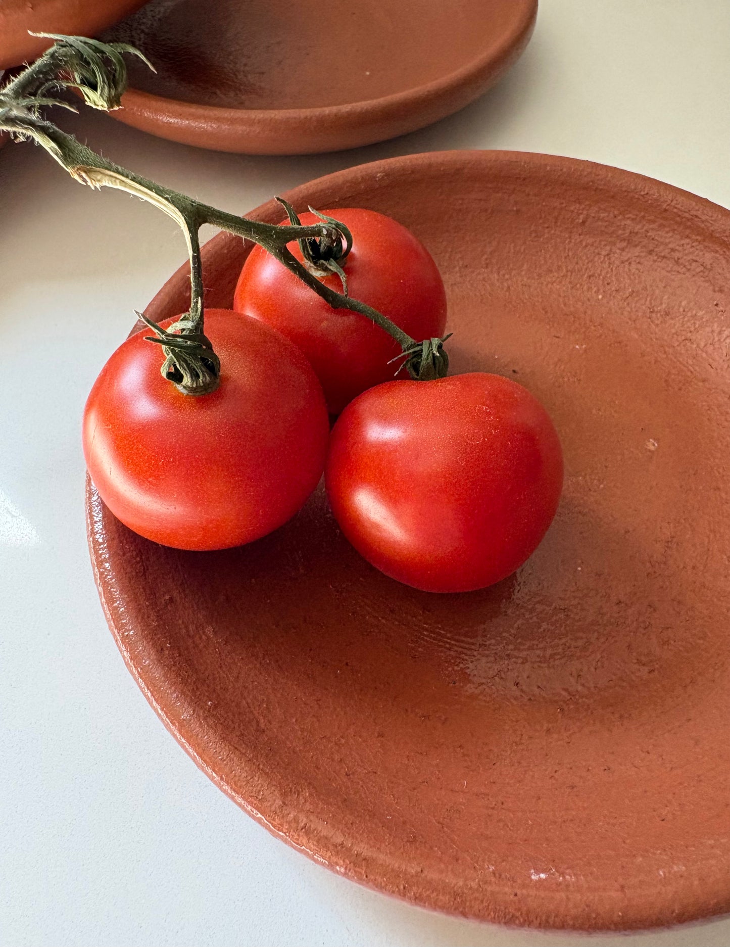 Mexican Barro Plate
